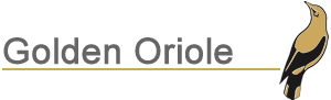 golden-oriole